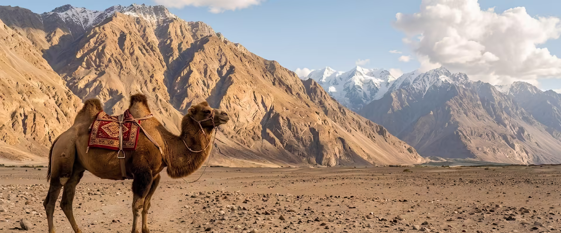Leh Ladakh Tour Package