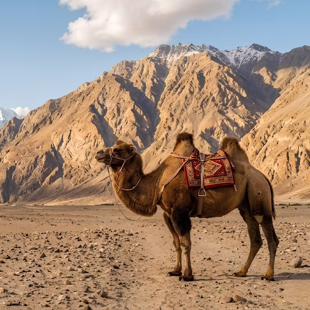 Leh Ladakh Tour Package